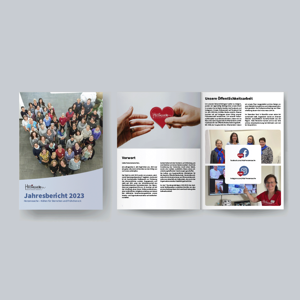 borschuere-jahresbericht-nfsuf Jahresabschlussbroschüre NfSuF